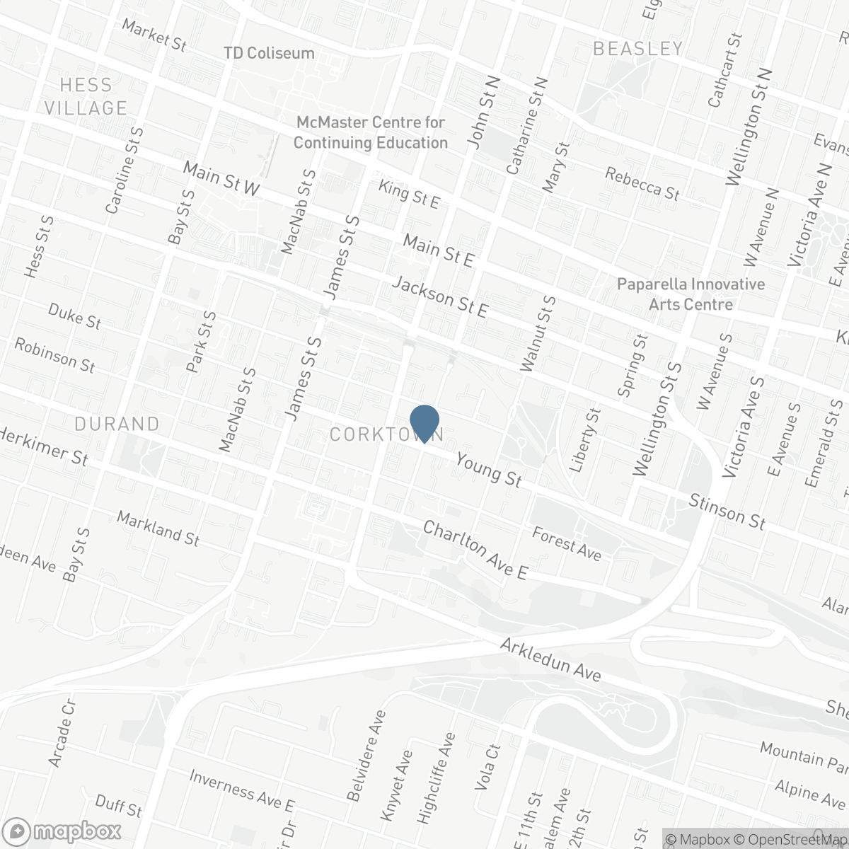141 S CATHARINE Street S Unit# 102, Hamilton, Ontario L8N 2J7